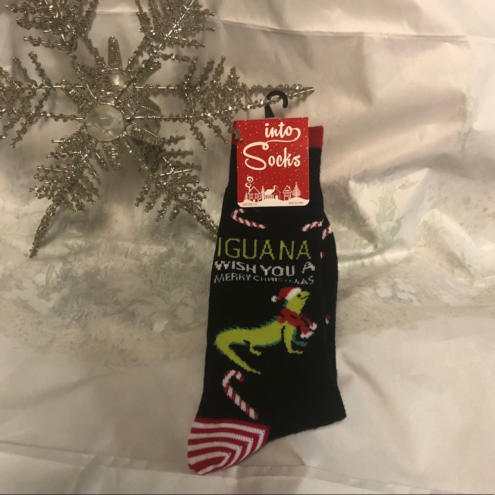 Men’s socks. Lizard, Iguana, reptile.